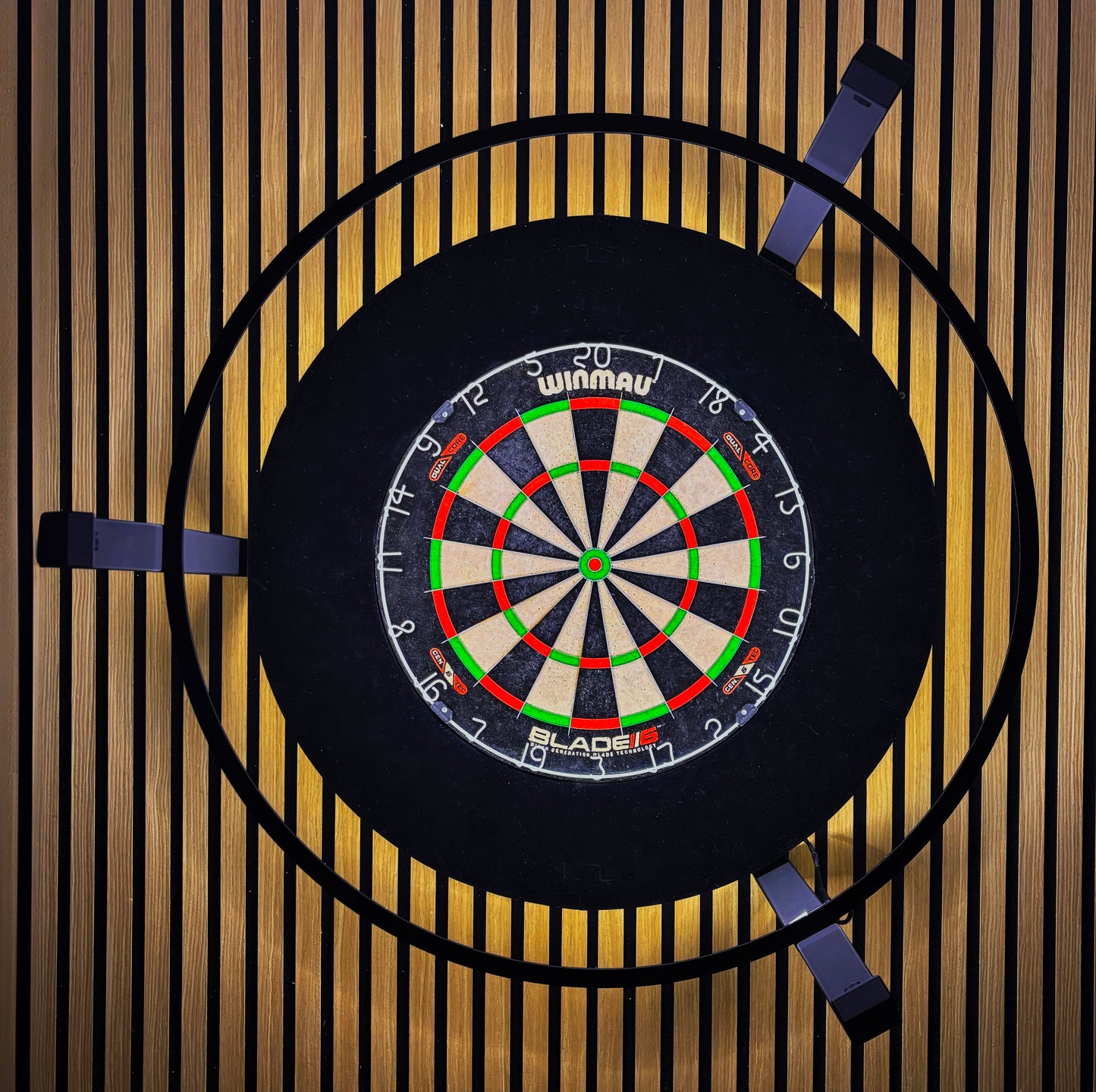 Kamerahalter für Autodarts