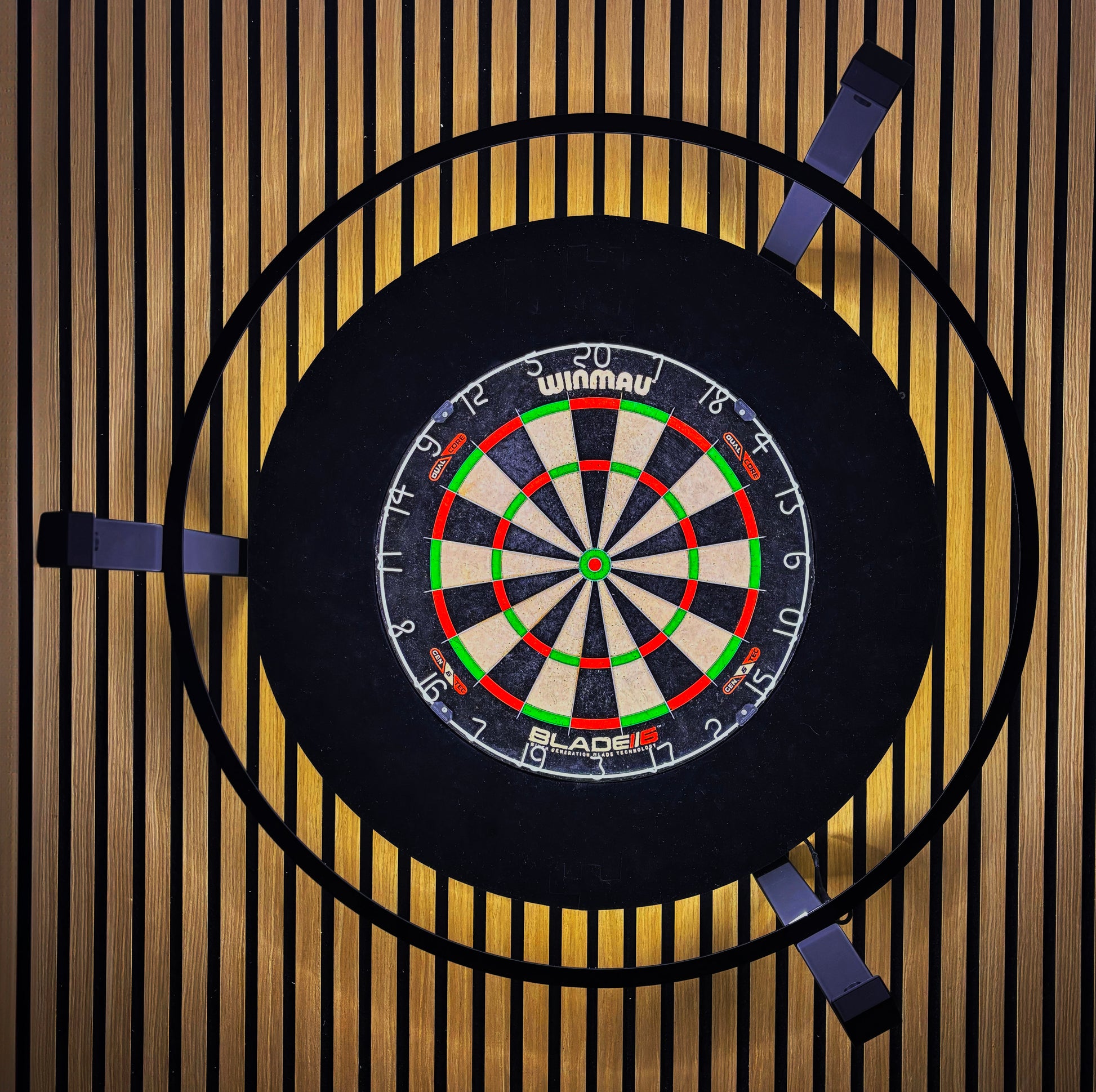 Kamerahalter für Autodarts